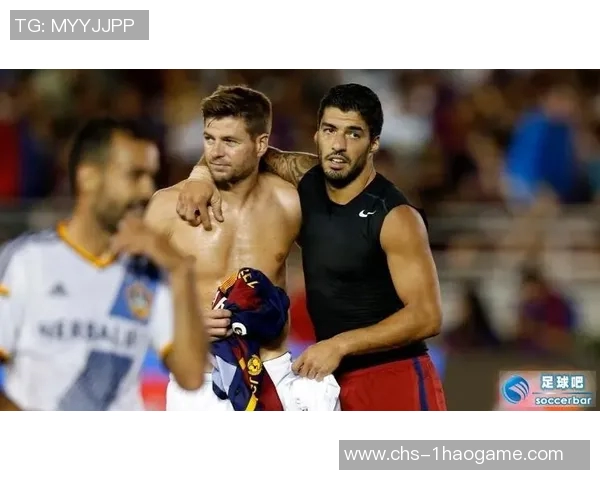 德扬与伊布的巅峰对决谁将成为足球场上的传奇之王